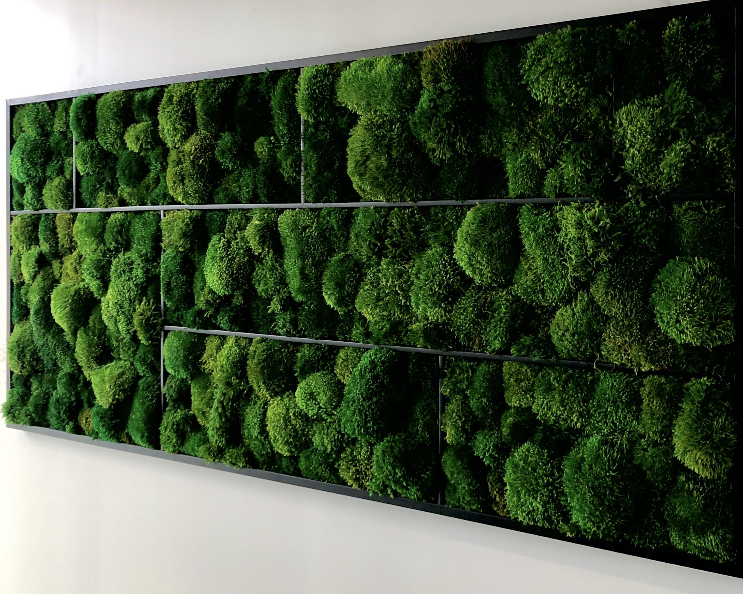 Image of deep green moss pillows in a planter box style matte black frame. 